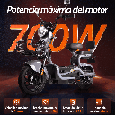 MOTOBICI ELÉCTRICA HONEY WHALE KC GRIS TORNASOL