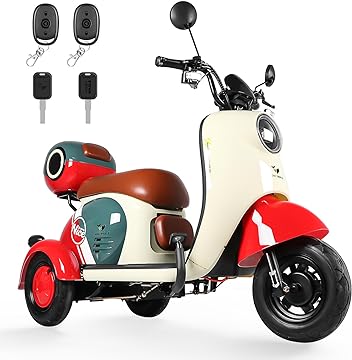 Motobici Eléctrica 3 Ruedas Honey Whale V1