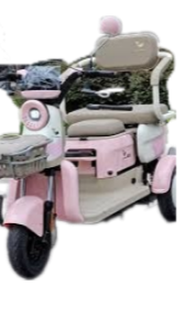 Motobici Electrica Honey whale V5