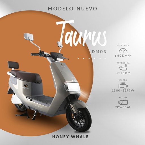[DM03] MOTOCOICLETA ELECTRICA HONEYWHALE TAURUS DM03