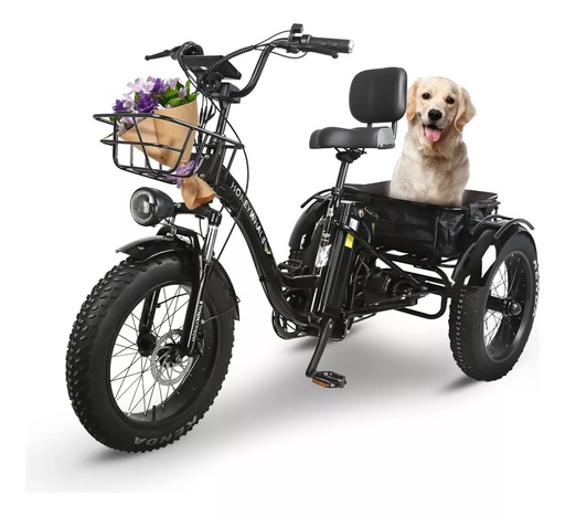 [S13] Honey Whale S13 Triciclo Eléctrico P/adultos